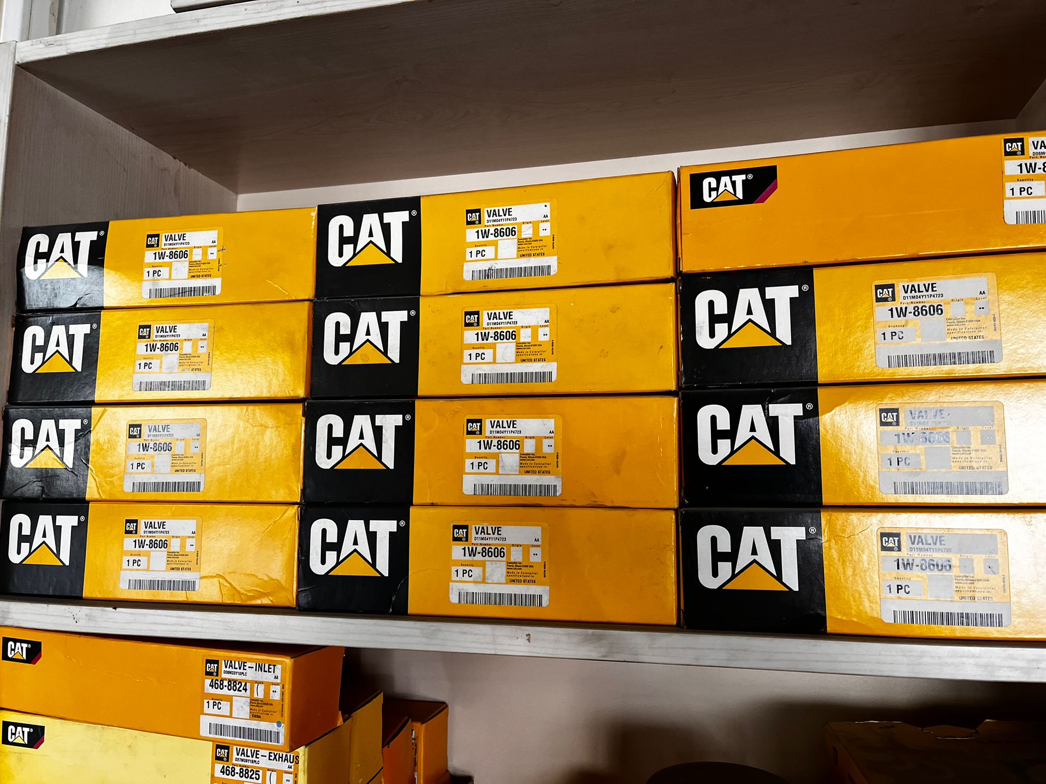 1W8606.jpeg 1W8606.jpeg