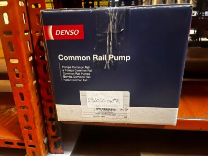 294050-010.JPEG